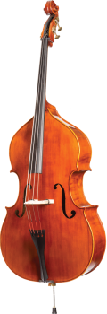 Basses